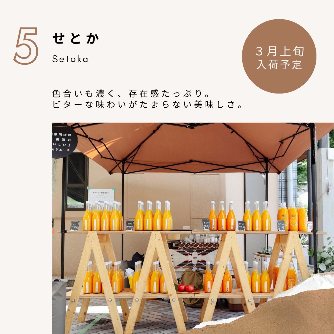 予約START>3月上旬入荷「せとか」