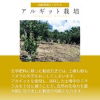 完熟アルギット不知火(露地)約1.5kg 【2月中・下旬頃～発送予定】