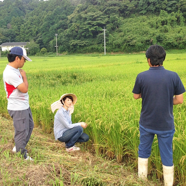 千葉県いすみ産特別栽培ふさこがね 2kg 和デリのお米 千葉県いすみ産特別栽培ふさこがね 2kg 和デリのお米