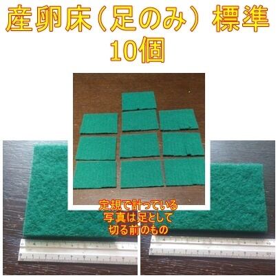 メダカ 産卵床（足のみ） ※研磨剤不使用 | ちゃぶ