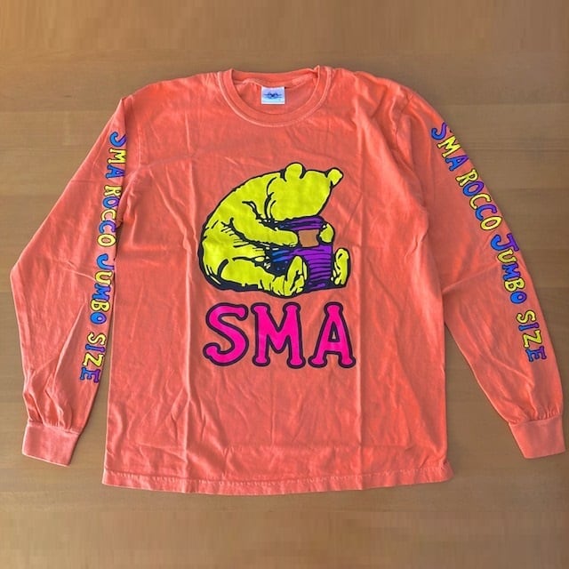 90S サンタモニカエアライン S.M.A Tシャツ USA製 ヴィンテージ-