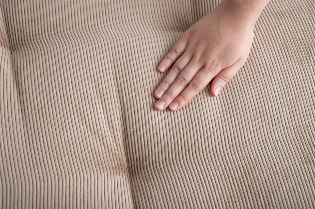 【2点セット】Chouchou 2人掛けフロアソファ