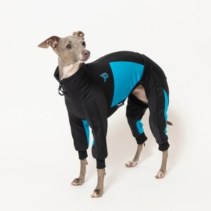 ドッグランジャージ　black × blue  / イタグレ服