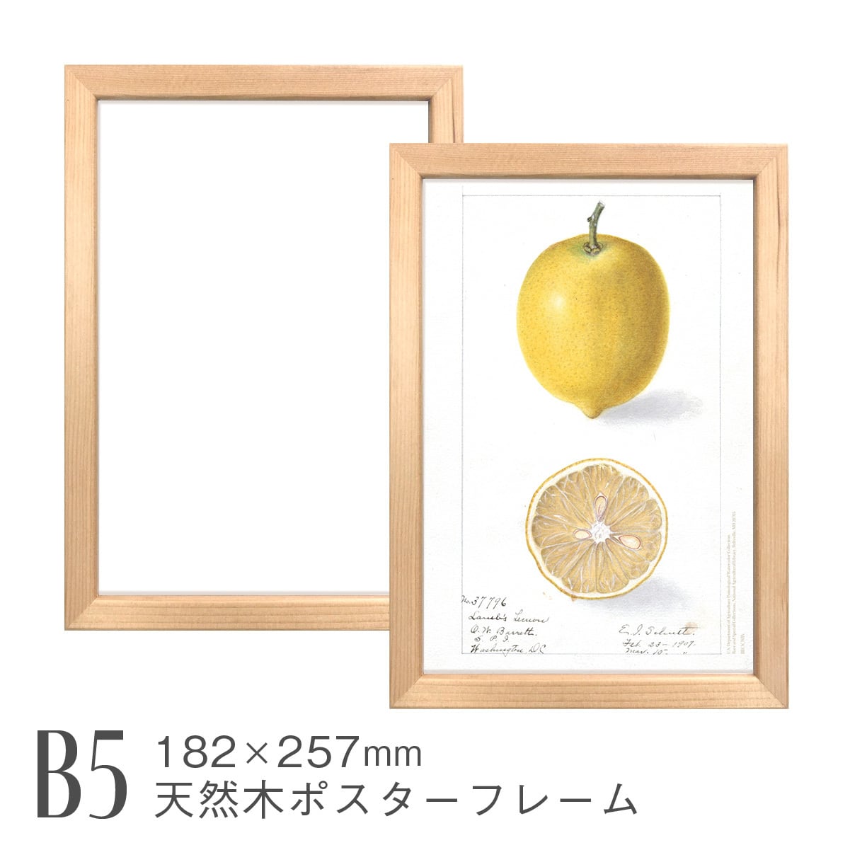 天然木ポスターフレーム [B5] 182×257mm 日本製 木製 ナチュラル 額縁