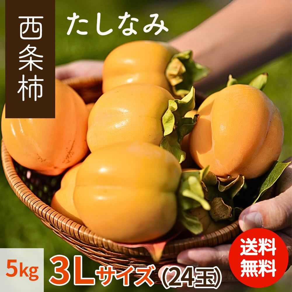 2025年産】【11月発送】西条柿 3L 24玉（5kg）たしなみ | 柿の通販