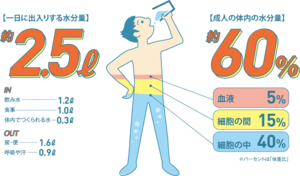 PFAS対応浄水器｢氣源水｣