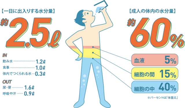 PFAS対応浄水器｢氣源水｣
