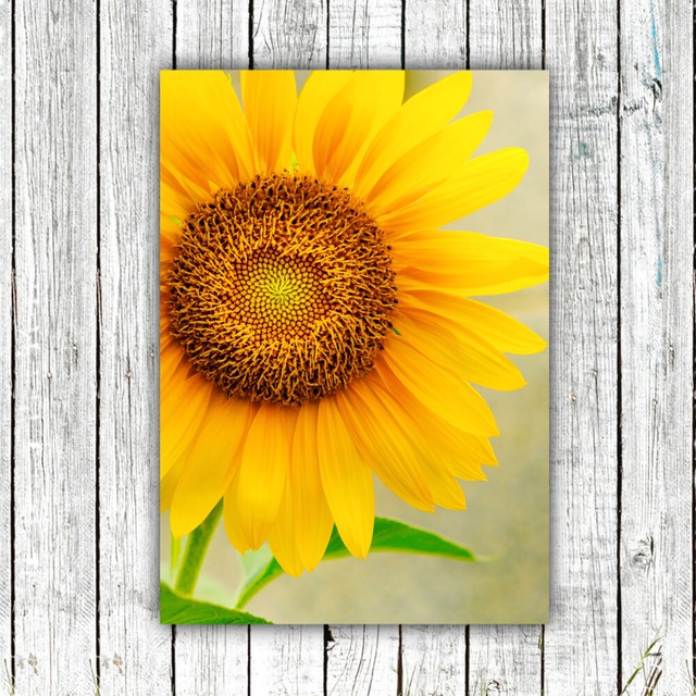 Sunflower【アートポスター専門店 Aroma of Paris】[SD-000711]