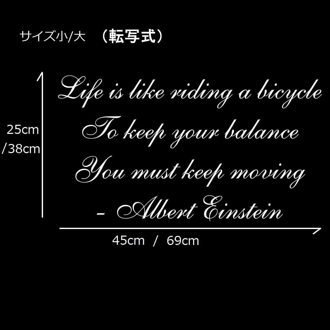 ウォールステッカー アインシュタイン 名言 白 光沢 Life is like
