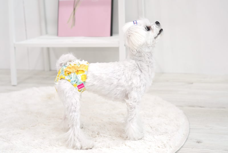 フリルフルーツサニタリーパンツ S 〜 L 2color / 犬 犬用 マナーパンツ 犬 生理パンツ しつけ用品 小型犬 中型犬