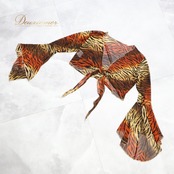 ベリーダンス 衣装 チョリ トップス ブラック系 クイーン Queen エジプト製 ゼブラ柄 模様 練習 レッスン 伸縮 ストレッチ 黒 橙 茶 派手 イベント ステージ かっこいい 華やか ブラウス 羽織り オレンジ系 ブラウン系