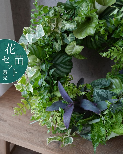 【φ40cmリース用】観葉植物のシンプルなグリーンリースセット