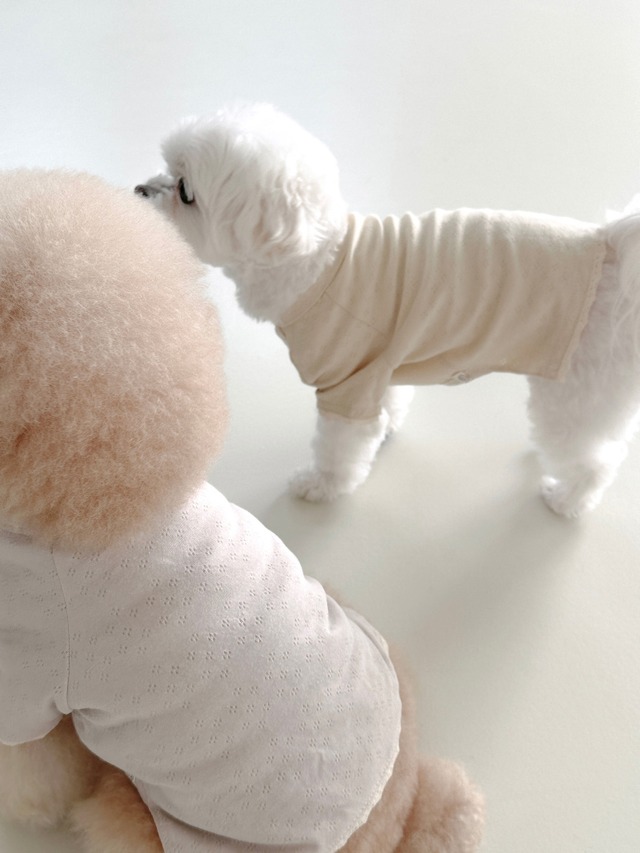 〈即納アイテム〉EYOU  アイレットTシャツ（レモン）