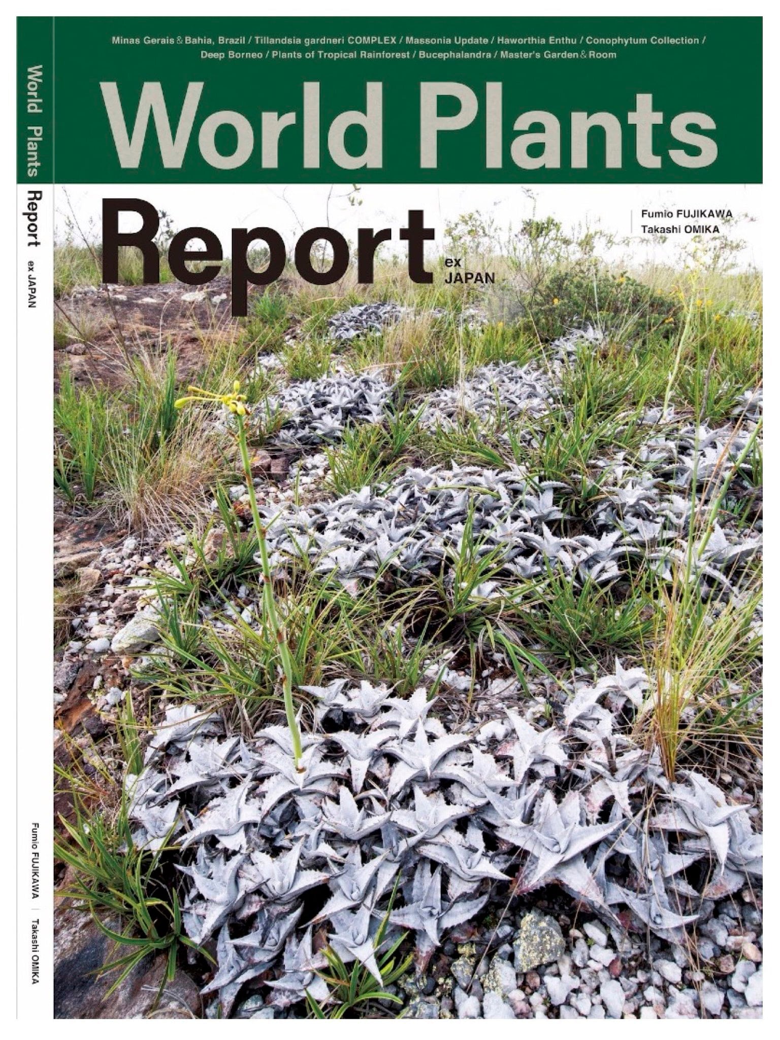 送料別】World Plants Report ex Japan | plane plants