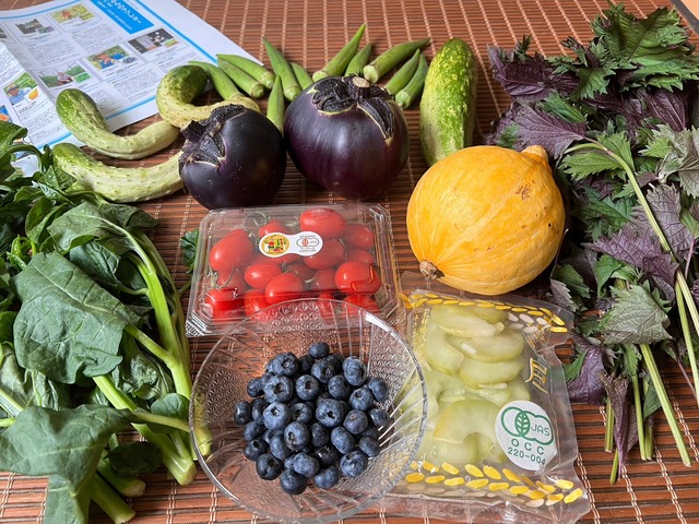 【完売御礼】ベジバルーンセット８月（葉月）『処暑（しょしょ）夏から秋への心の準備にととのえ野菜たち』 ※セット写真は2022年７月に出荷したベジバルーンです。