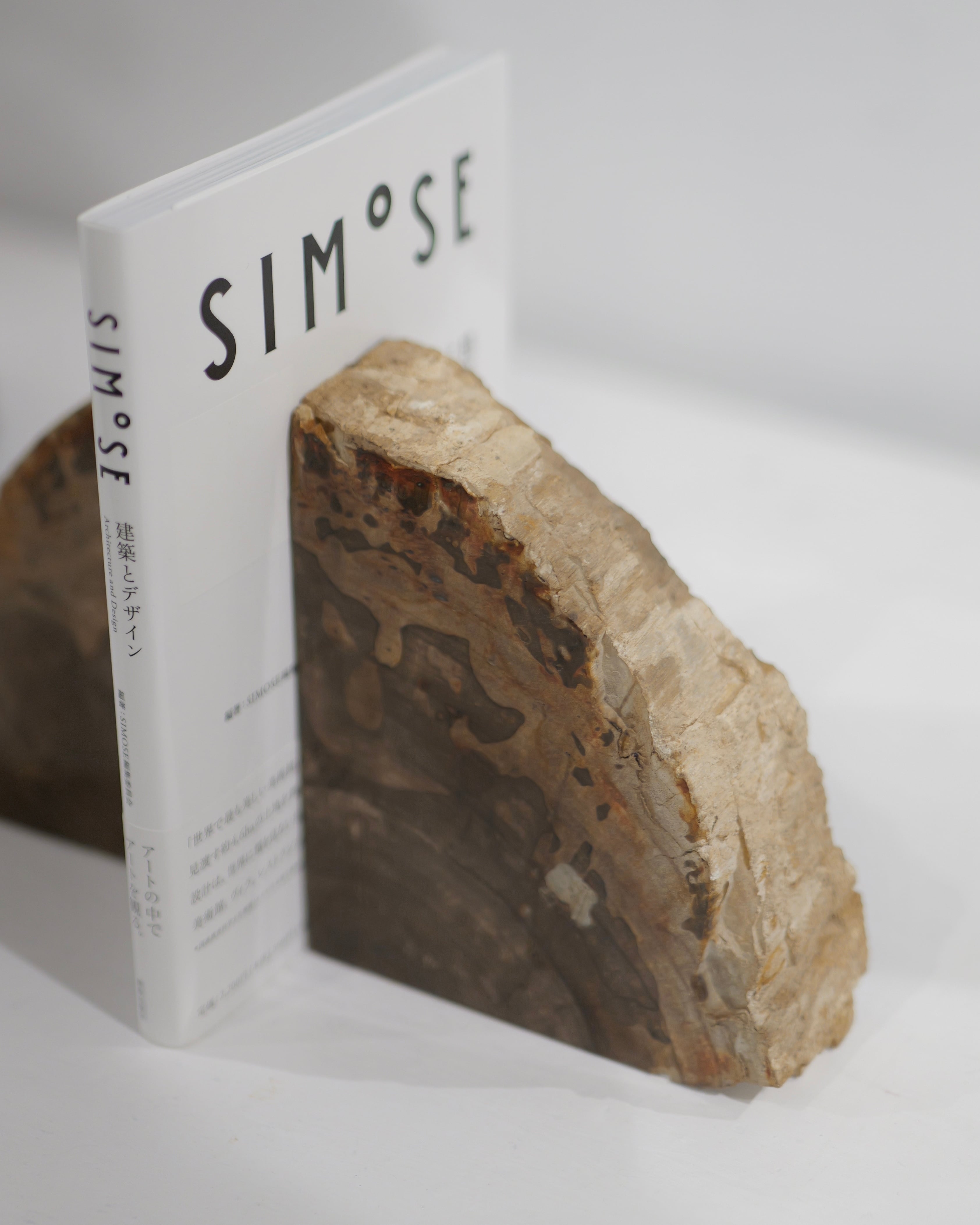 OAK Petrified Wood - Book End #001 ：Natural｜珪化木／一点もの