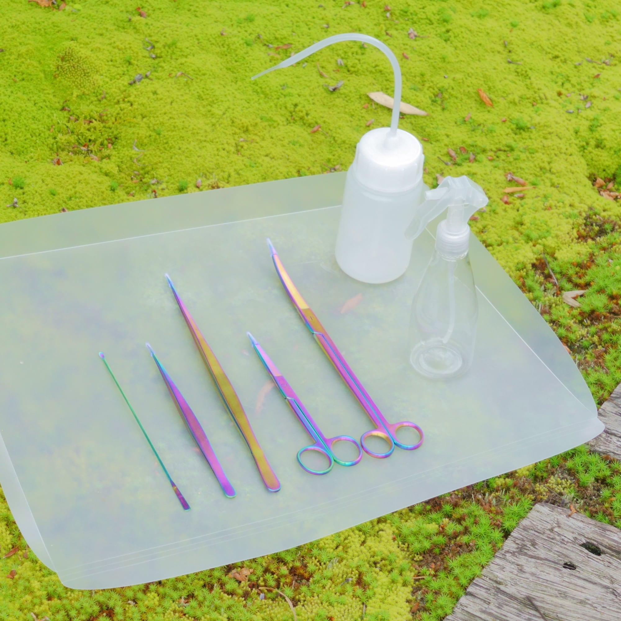 苔テラリウム専用道具5点セット+水やりツール2点の7点道具セット