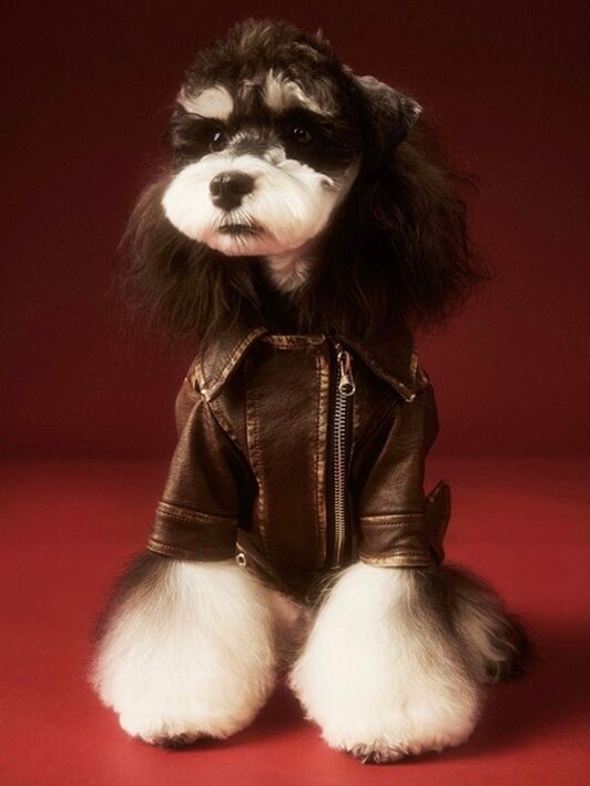 ◇ 海外風ミルクボトル ◇ ガロンミルクボトル | Pay ID