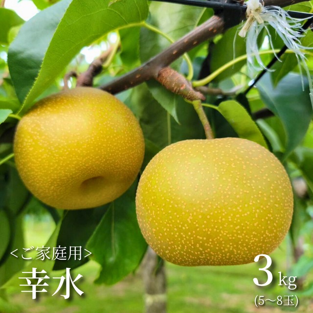 ≪予約受付中≫【ご家庭用はこちら】めぐみ農園の「幸水」ご家庭用[3kg]秋田県男鹿市産