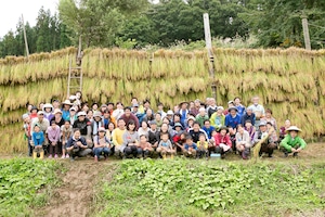 【2023年度産】 コシヒカリ「大地の米」10kg / Koshihikari Rice