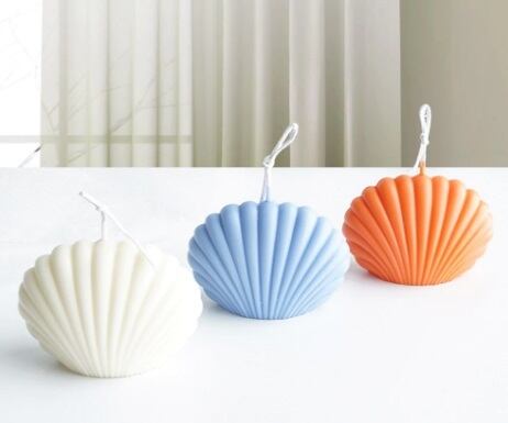 シェル(L) プラスチックモールド | シリコンモールド・クレイクラフト