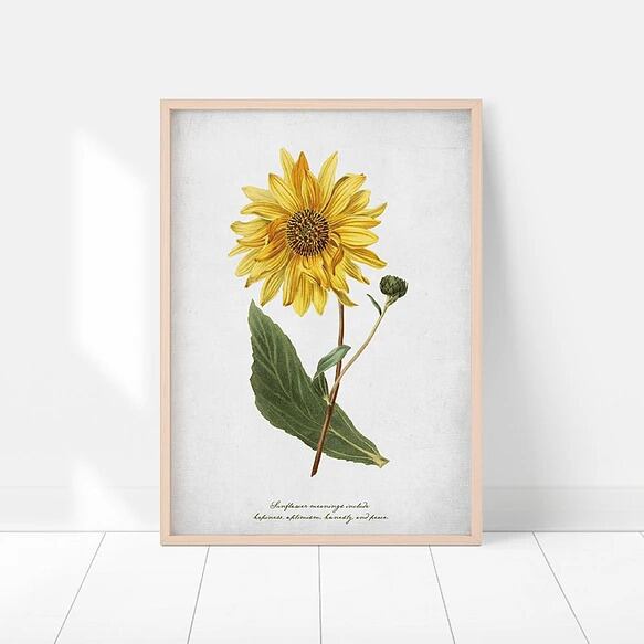 ポスター 夏のひまわり / i0694 / ヴィンテージ風のヒマワリの花