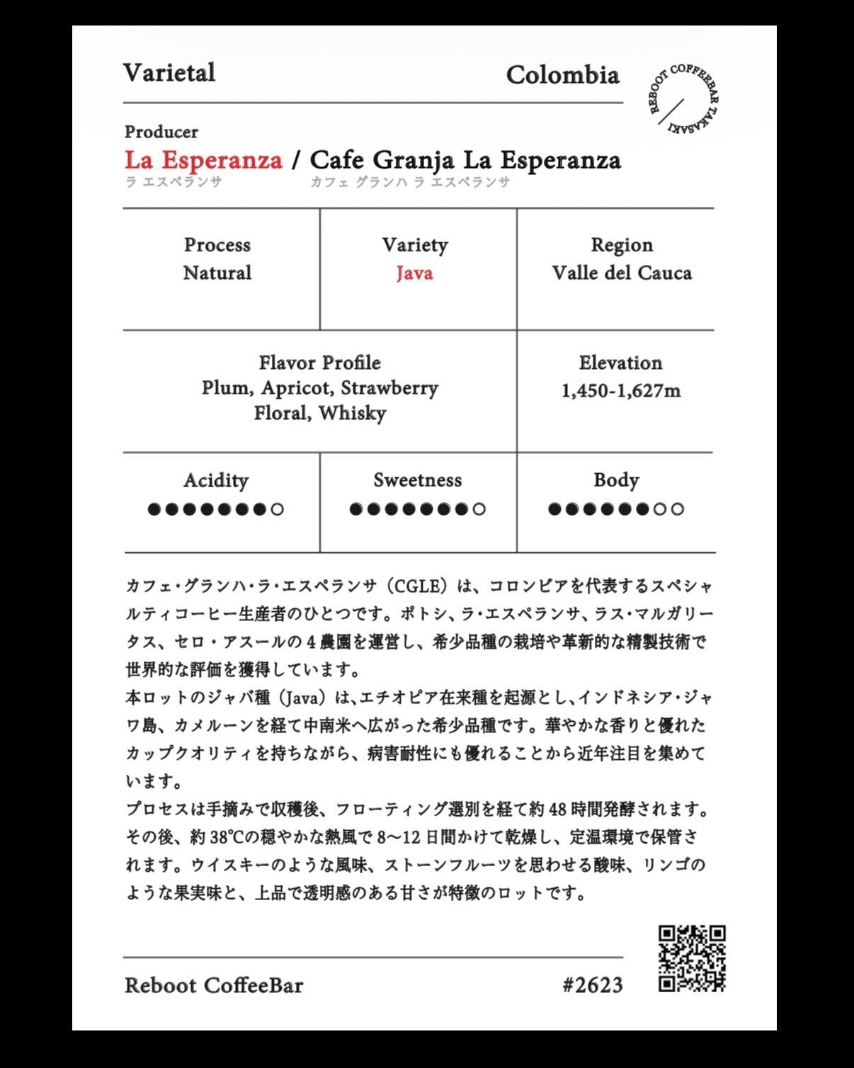 La Esperanza Java Natural - Colombia 【100g】