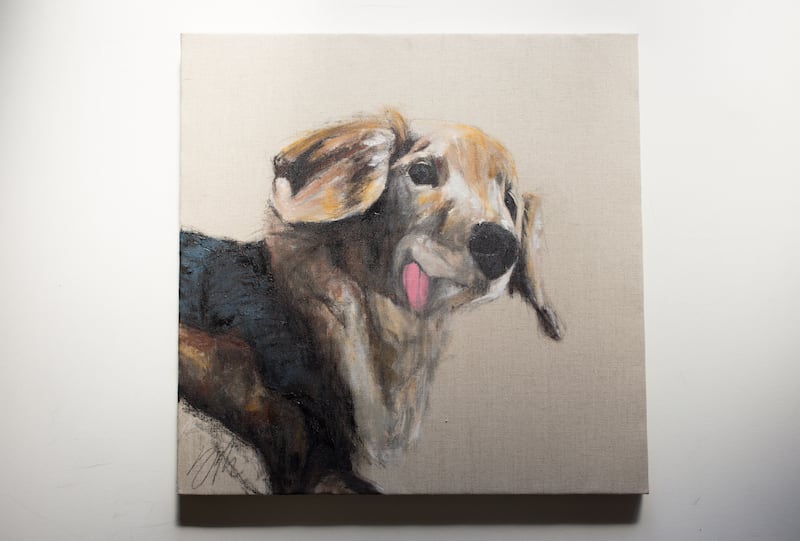 Miniature dachshund / ミニチュアダックス | TOMOYA OFFICIAL GALLERY