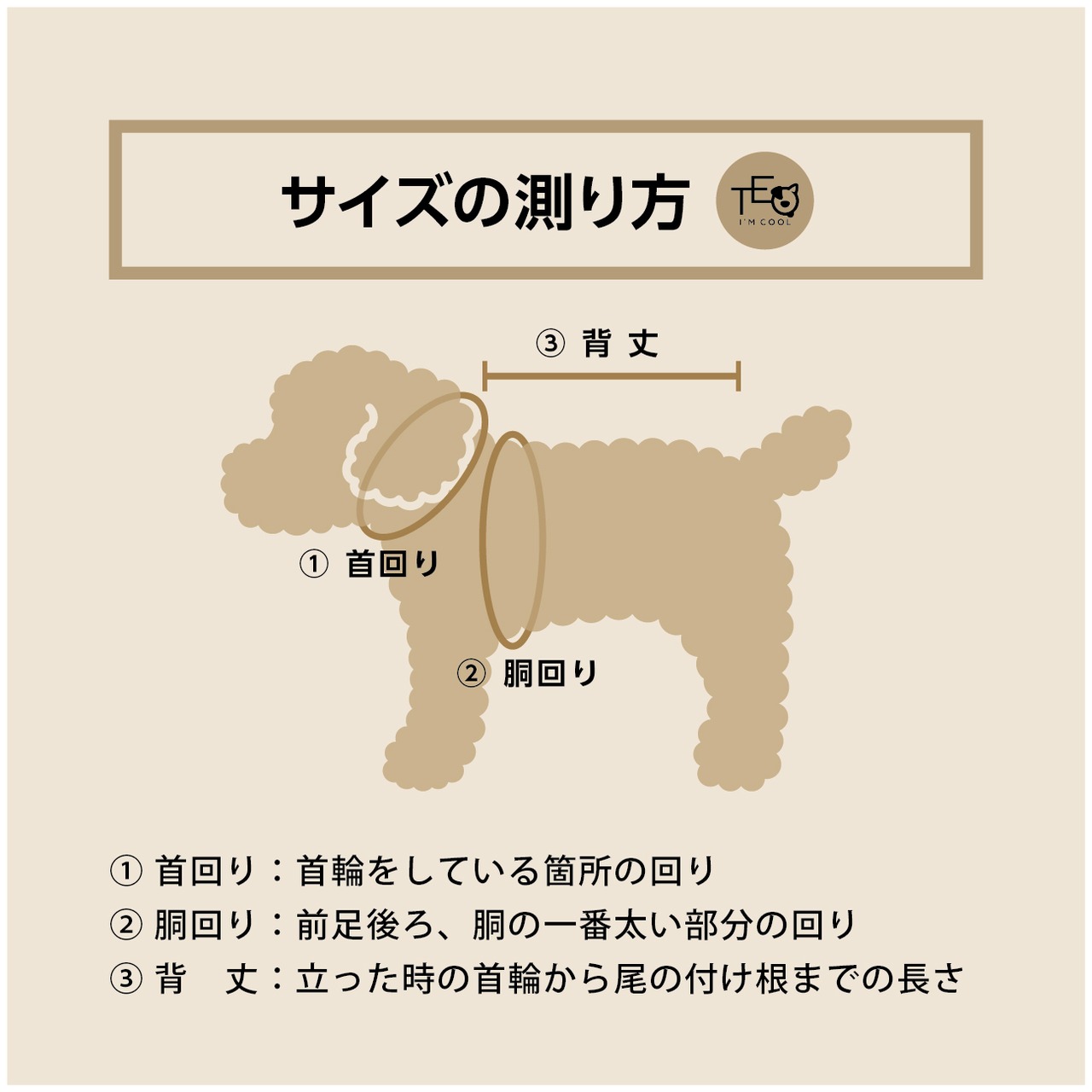 【TEO I'm COOL】AMBRA FLOWER collar