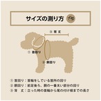 【TEO I'm COOL】AMBRA FLOWER collar