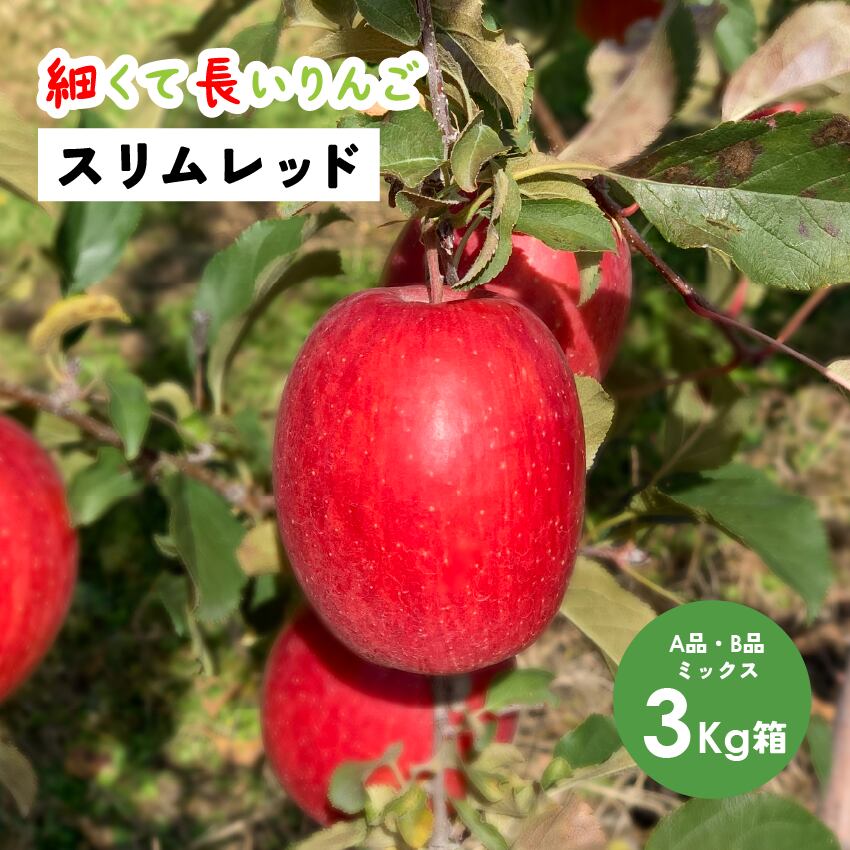 11月17日から発送「スリムレッド3キロ箱A品B品」長野県安曇野産 日付