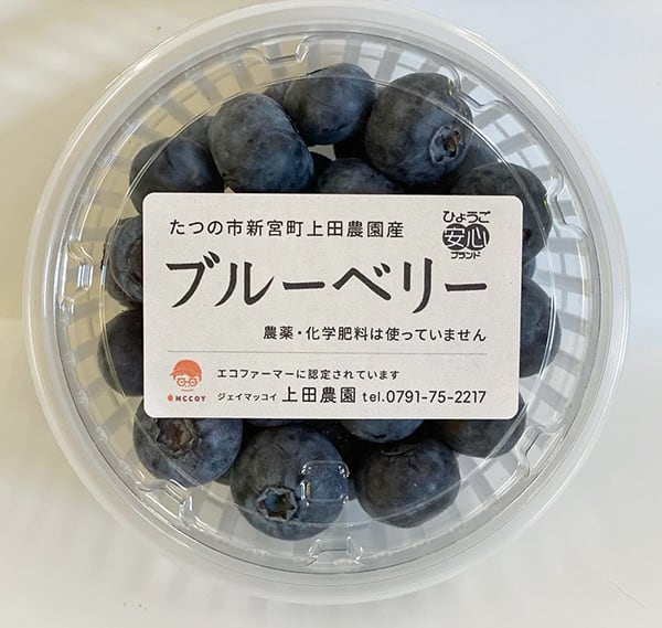 ブルーベリー　100g