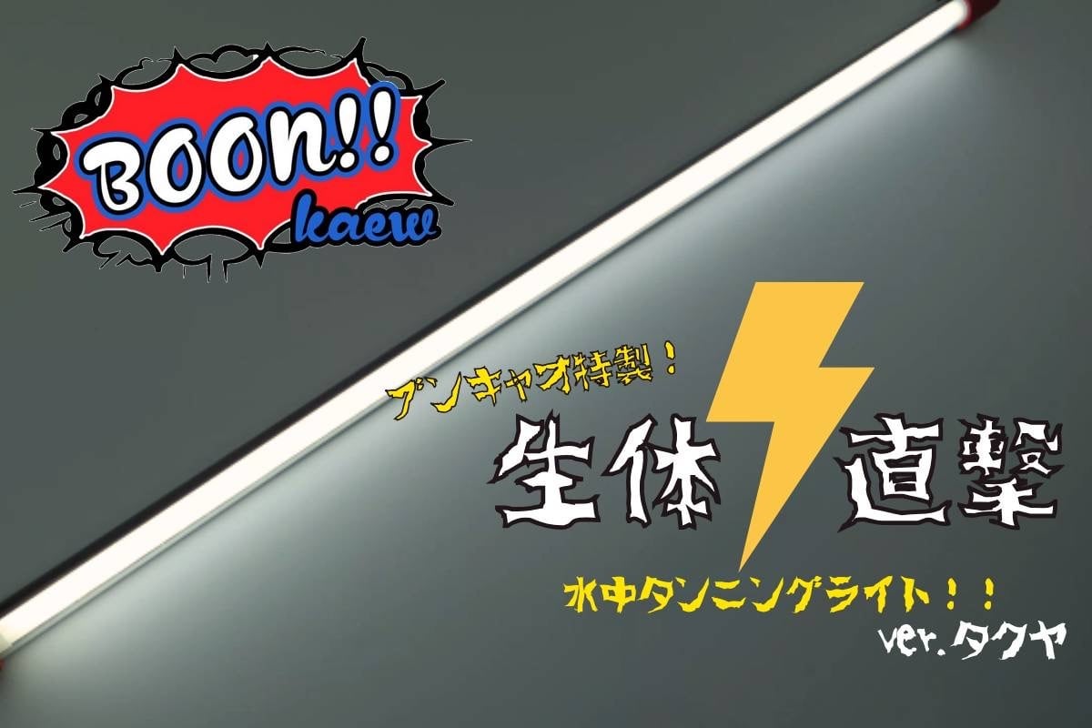 142cm 6700k》ブンキャオ タンニングライト テンニングライト アロワナ
