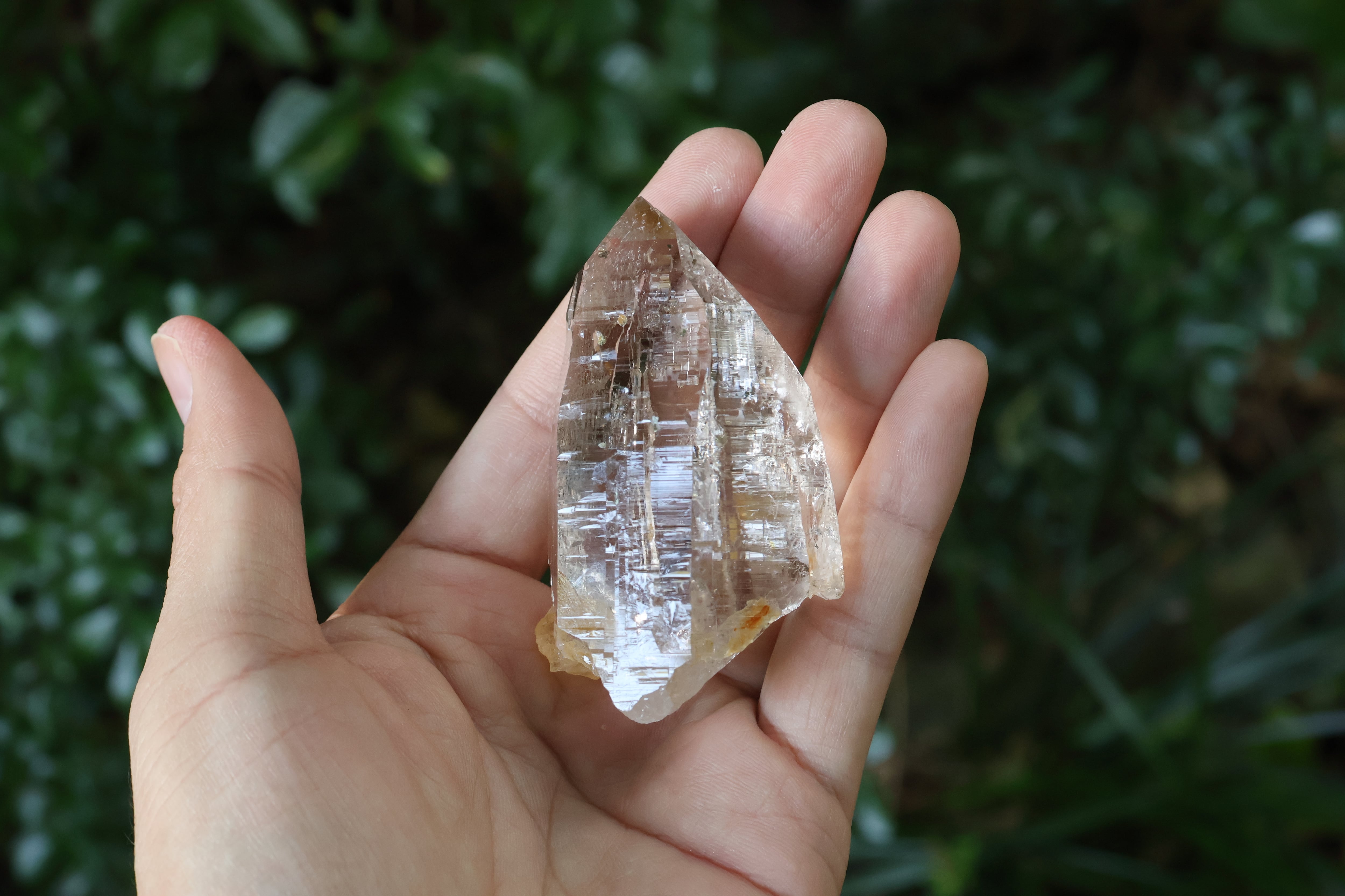 標本ケース付き　ヒマラヤ水晶ガネーシュヒマールコレクション 標本ケース付き ヒマラヤ水晶ガネーシュヒマールコレクション