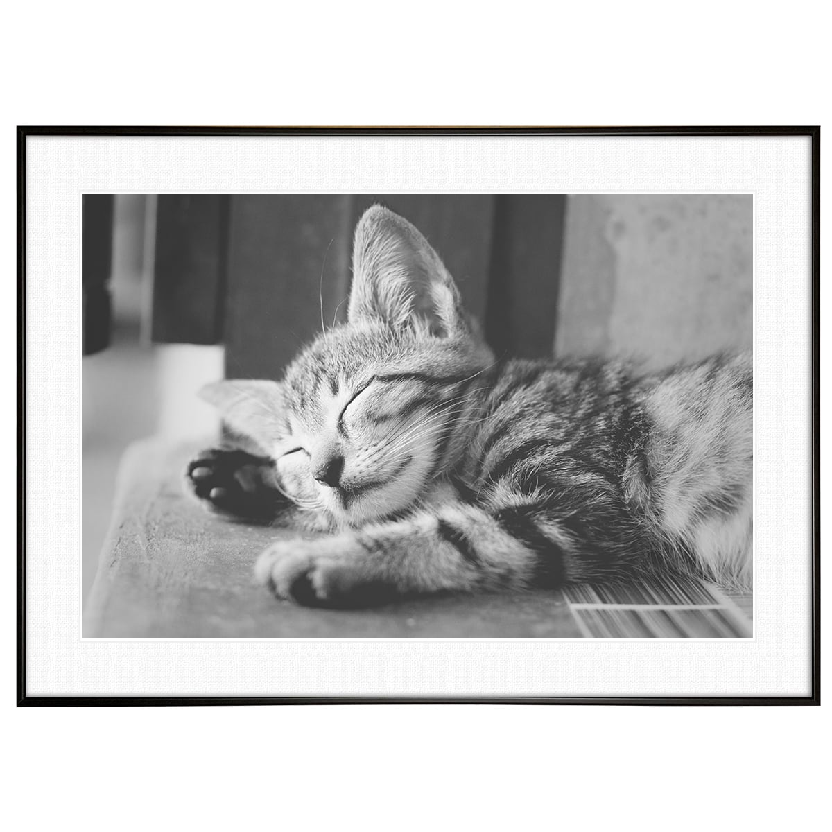 動物写真 寝ている猫 インテリア モノクロアートポスター額装 AS1863