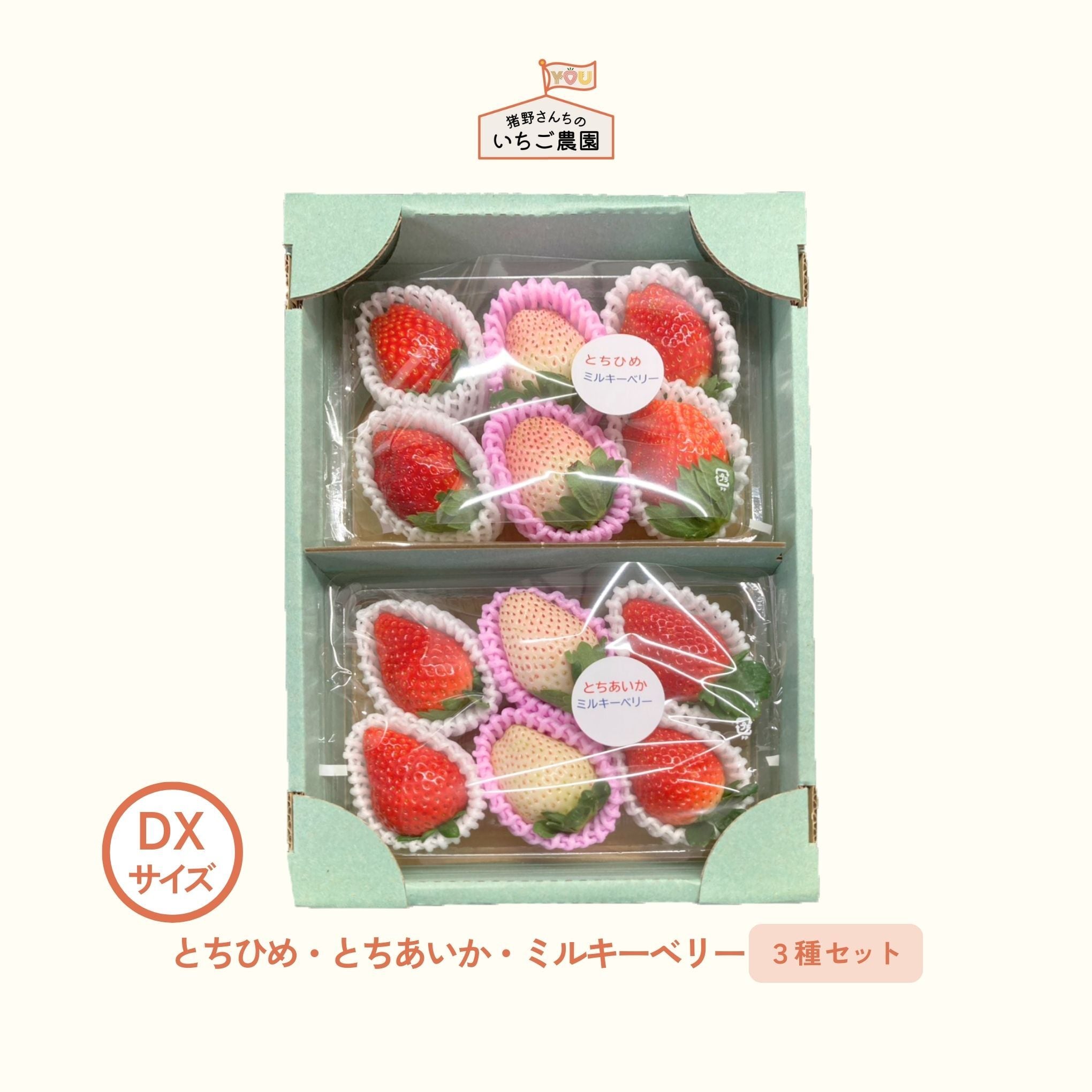 とちあいか（DXサイズ 6粒入り×2P） | 猪野さんちのいちご農園｜産直
