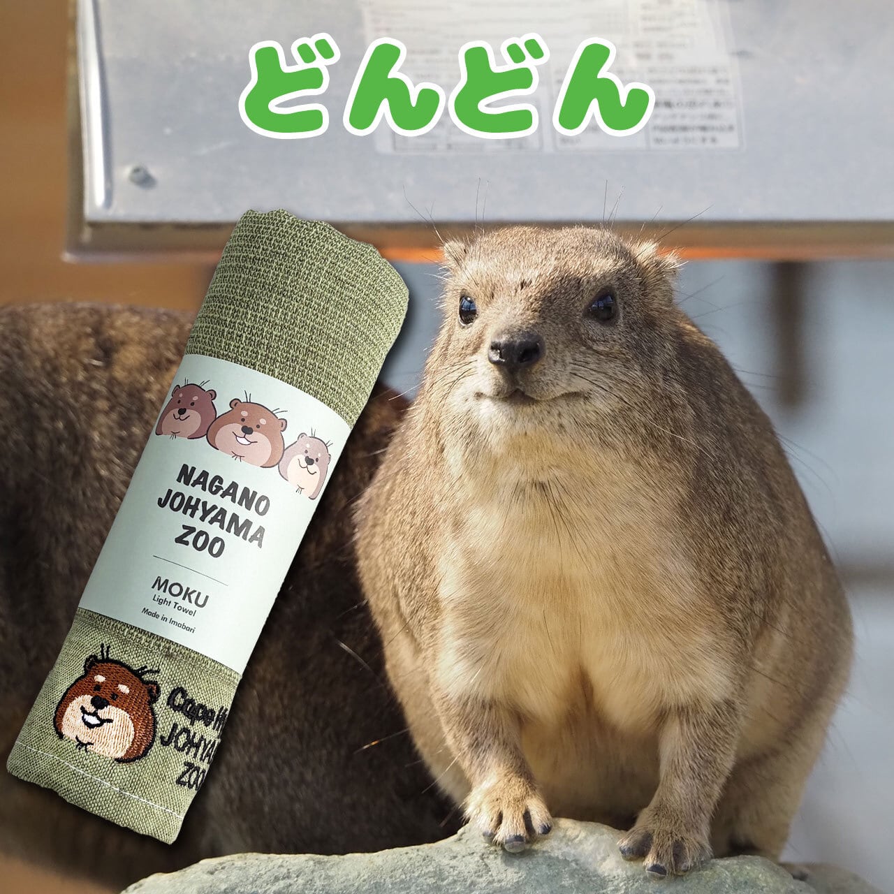 ケープハイラックス MOKUタオル（グリーン） | ZOOっとながの