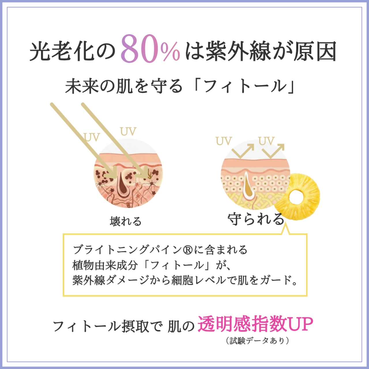 にごり一掃突き抜ける白へ 透明感ベース強化セット