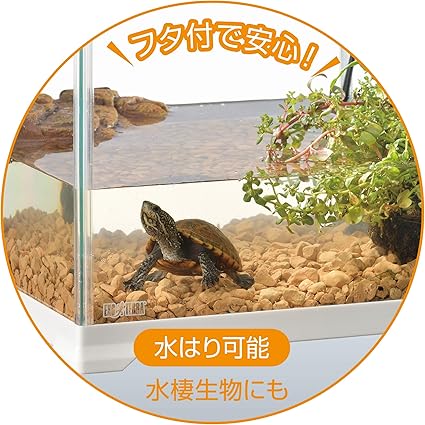 爬虫類用飼育ケージ ホワイトフレーム