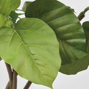 鉢カバー付き ウンベラータ160㎝［人工観葉植物・フェイクグリーンT］