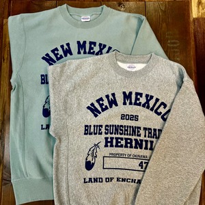 【HERNI × BlueSunshineTrading】  12oz ヘヴィーウェイト クルーネック スウェット　（mixed gray）