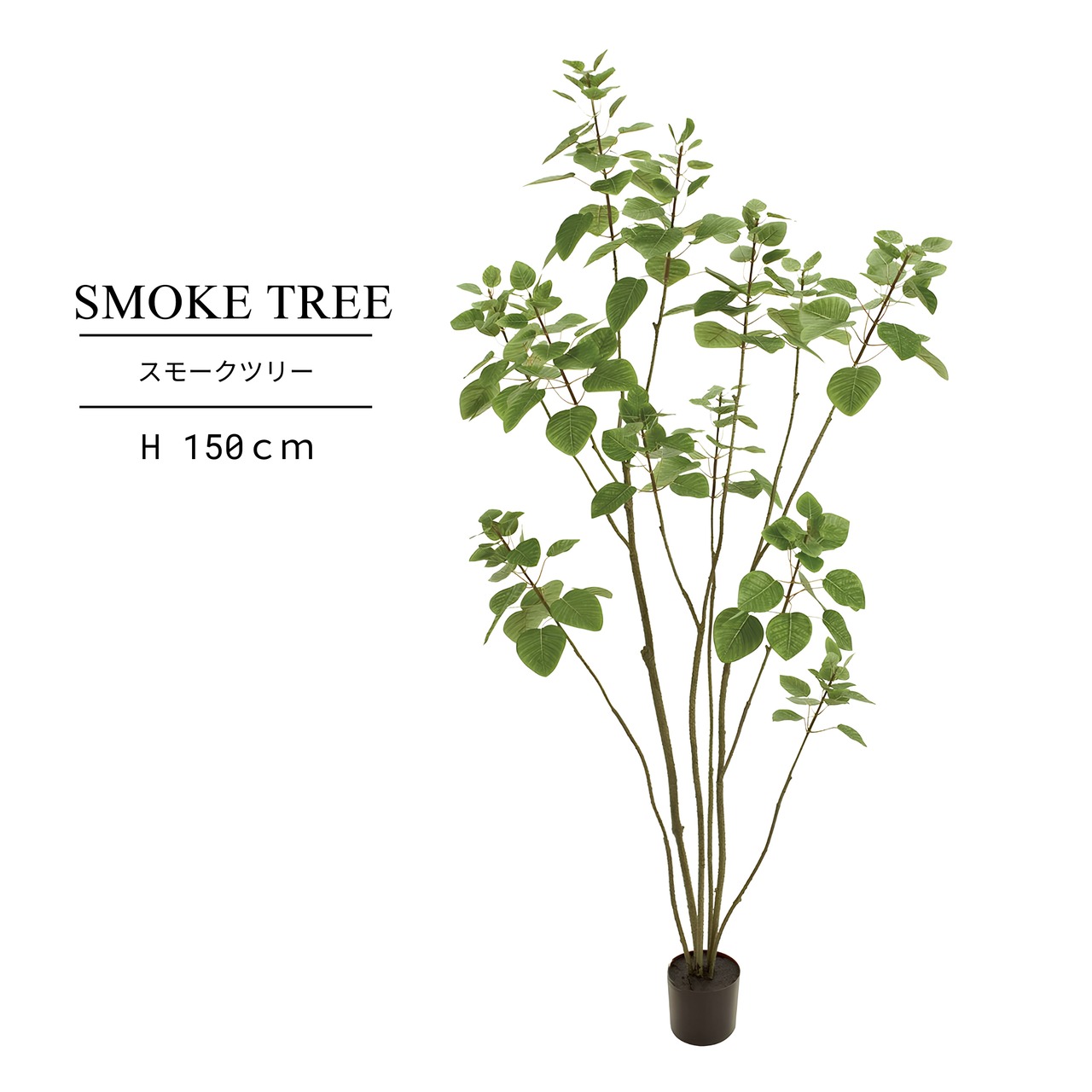 スモークツリー 150㎝［人工観葉植物・フェイクグリーンT］