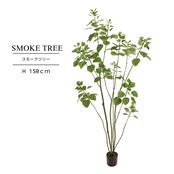 スモークツリー 150㎝［人工観葉植物・フェイクグリーンT］