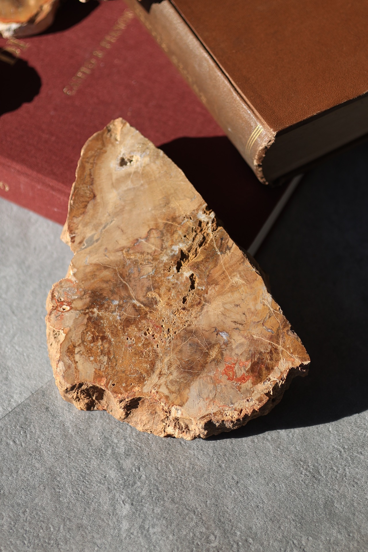 ペトリファイドウッド プレート |  Petrified Wood Plate ◇ 天然石・鉱物・パワーストーン | st00408