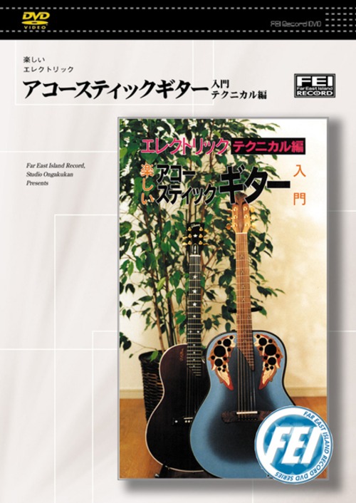 DV081　楽しいエレクトリック　アコースティックギター入門　テクニカル編