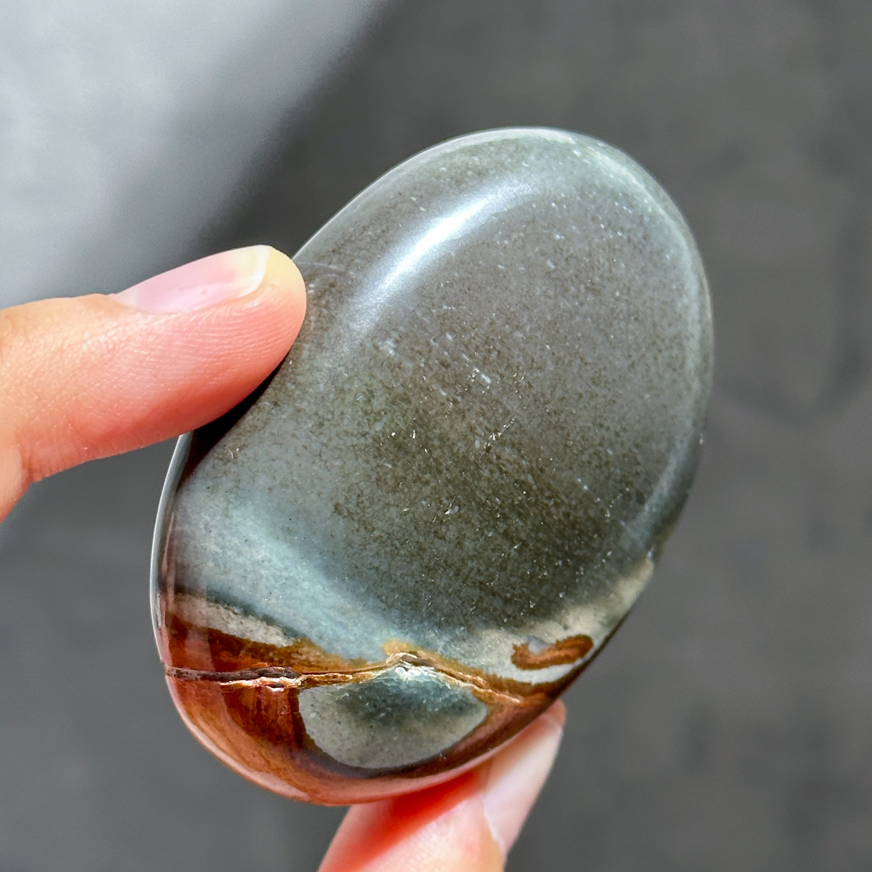 ポリクロームジャスパー パームストーン05◇ Polychrome Jasper palm