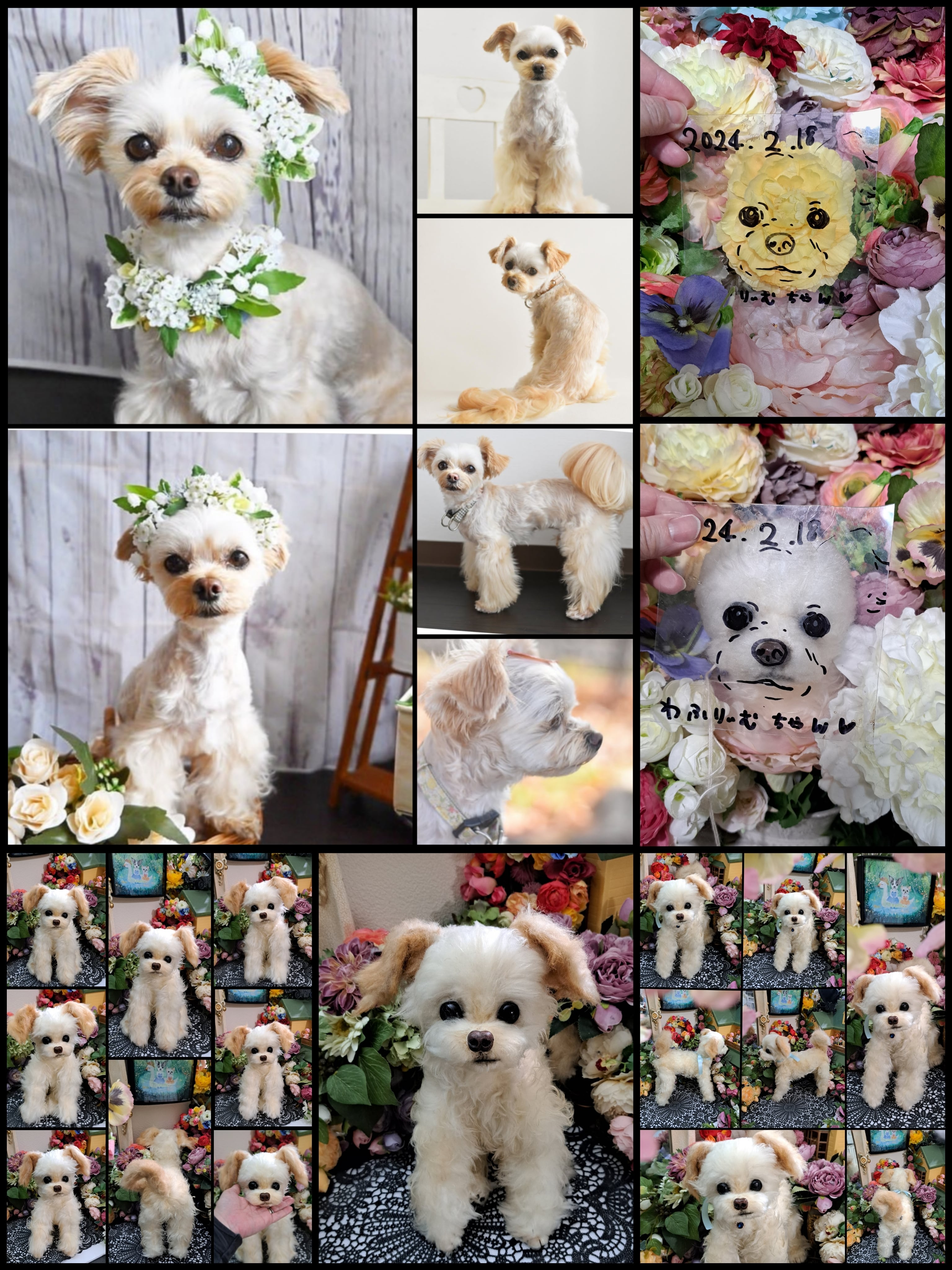 愛犬 オーダー♥️ うちの子 実物サイズ 等身大 ぬいぐるみ 羊毛 愛犬 オーダー♥️ うちの子 実物サイズ 等身大 ぬいぐるみ 羊毛