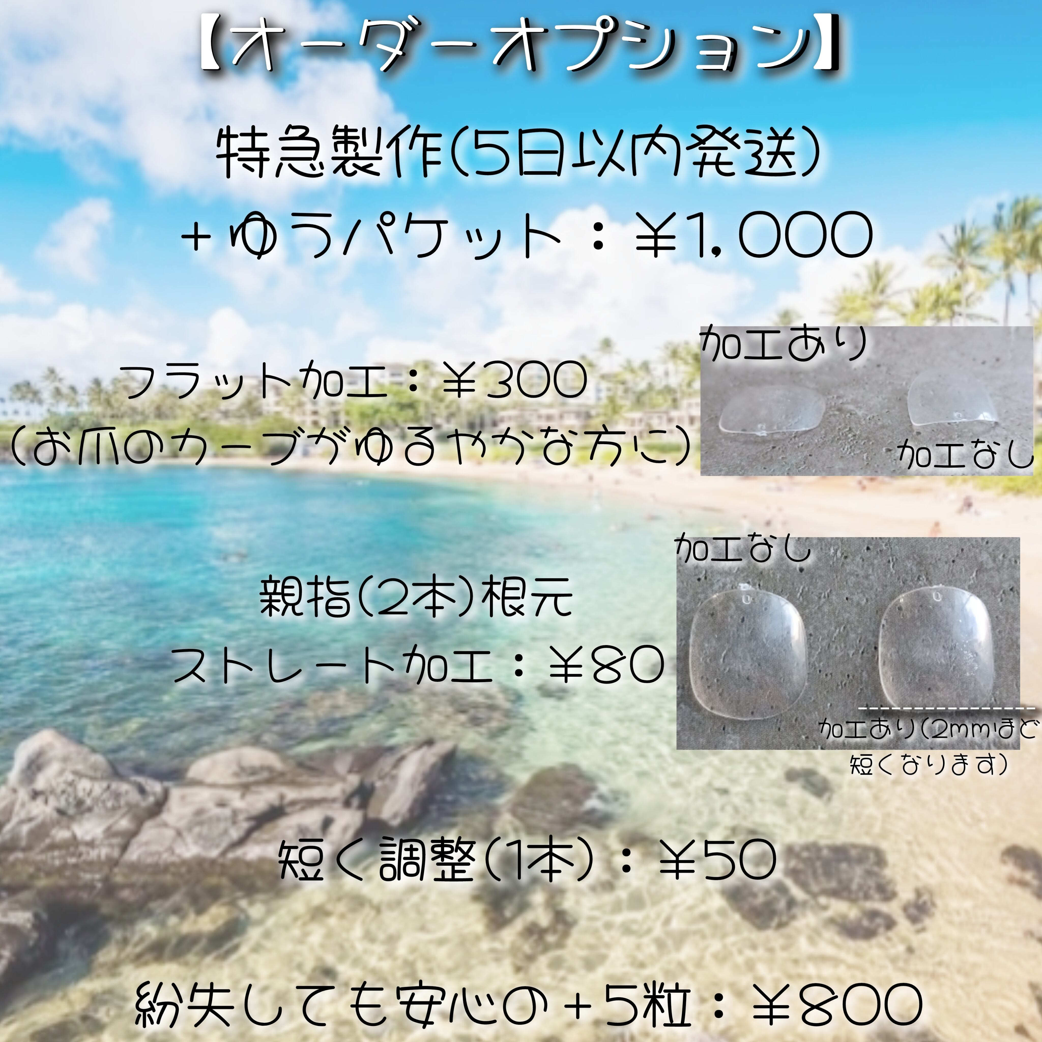 受注製作】モロッカン ネイルチップ No.216 | ❀✿ Pirina_nail︎ ✿·͜