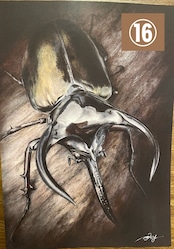 色鉛筆画 1枚(全23種)【複製画】