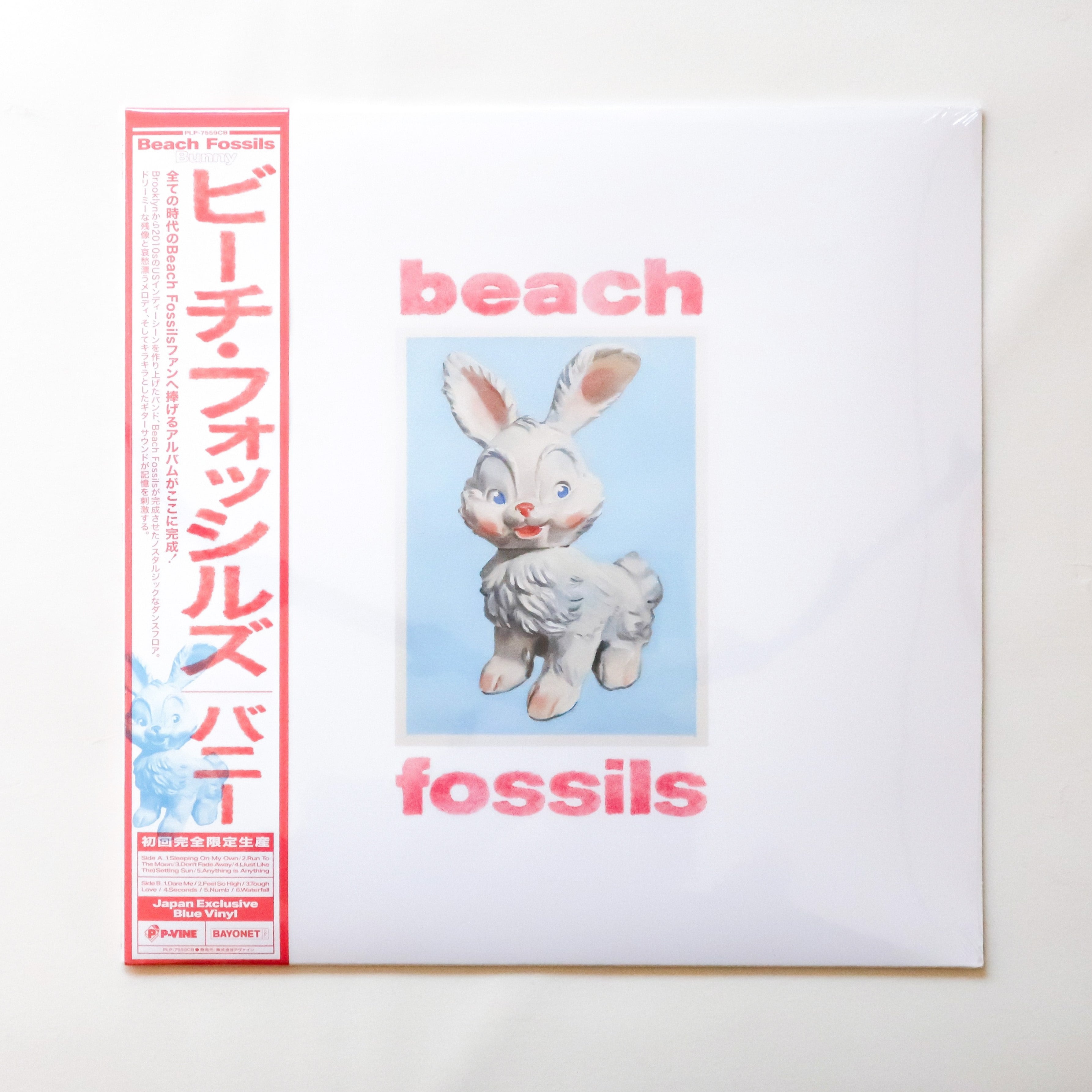 完売】 never young beach / YASHINOKI HOUSE | 本と音楽の店 つぐみ